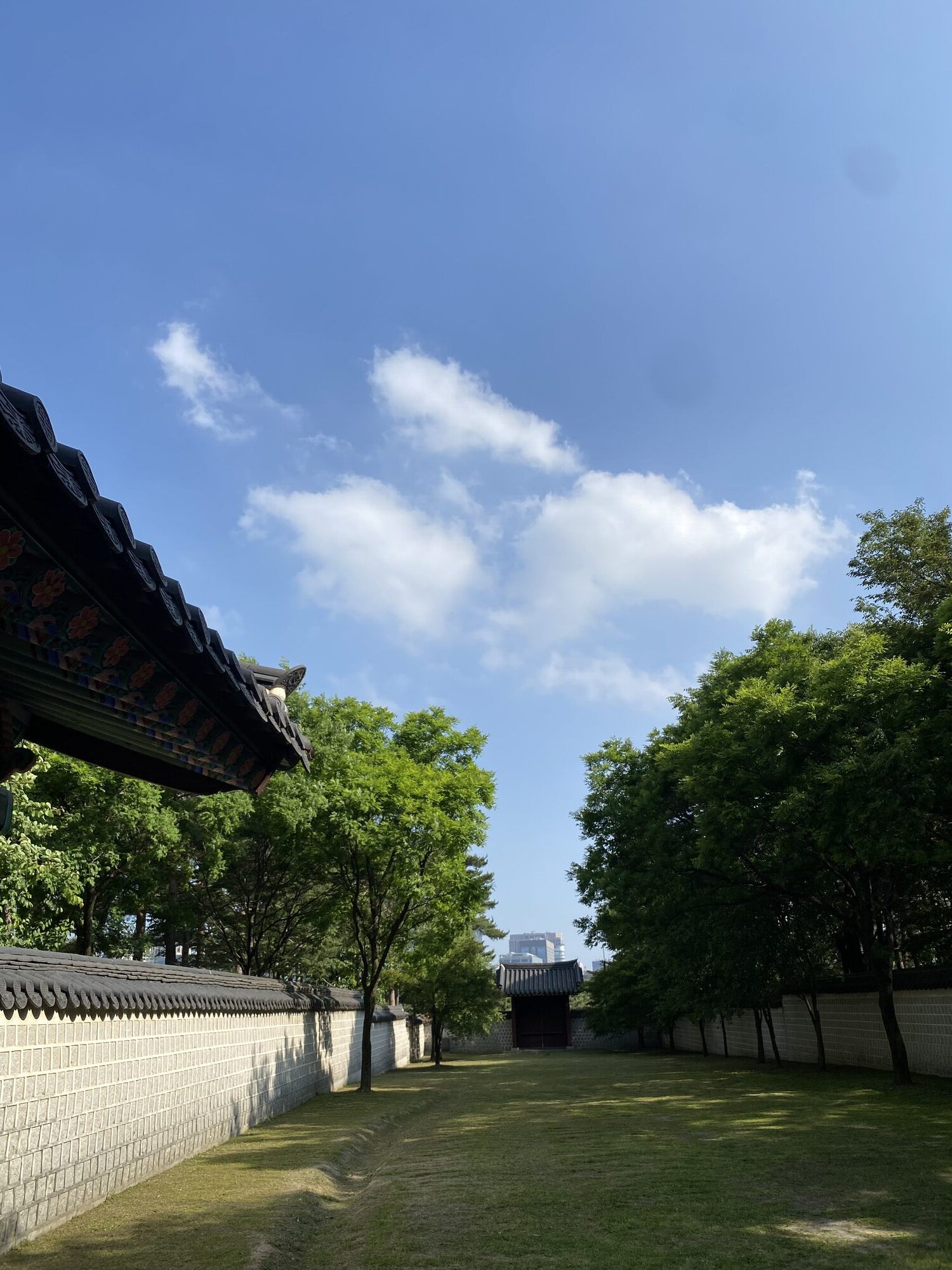 A Jongno alley end to end — market awnings, a palace roofline above