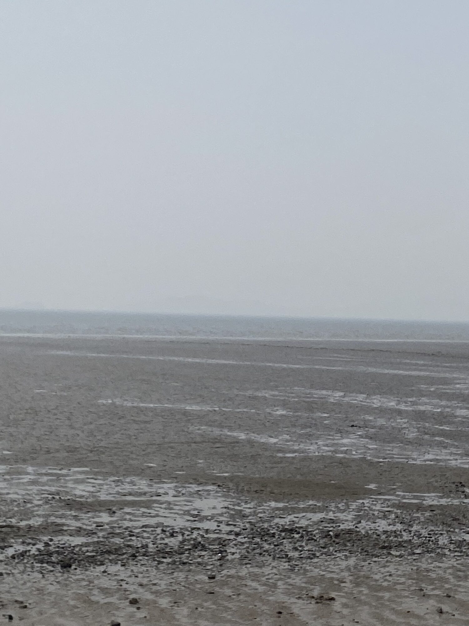 The tidal flats