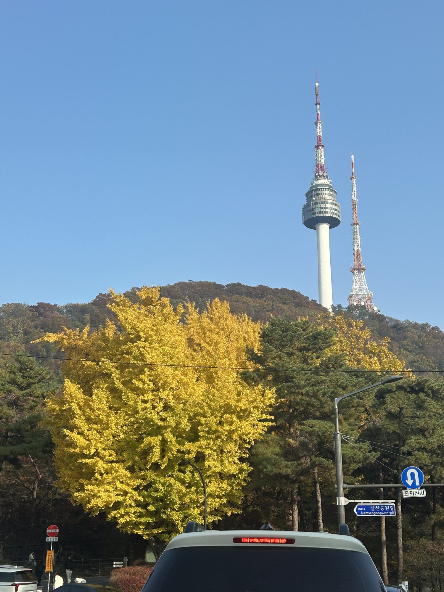 Namsan tower in autumn
